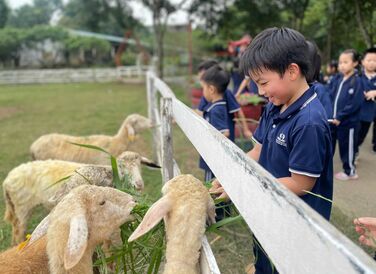 Dã ngoại Detrang Farm